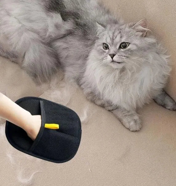 Pet Hair Removal Glove — Grooming & Deshedding Mitt